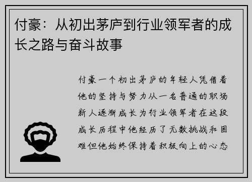 付豪：从初出茅庐到行业领军者的成长之路与奋斗故事